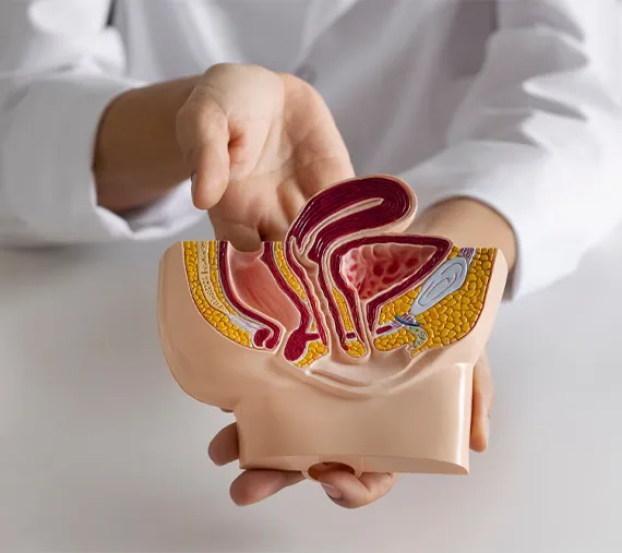 Üroloji Hangi Hastalıklara Bakar?