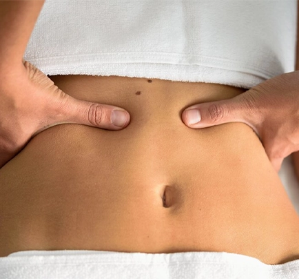 Abdomen Nedir?