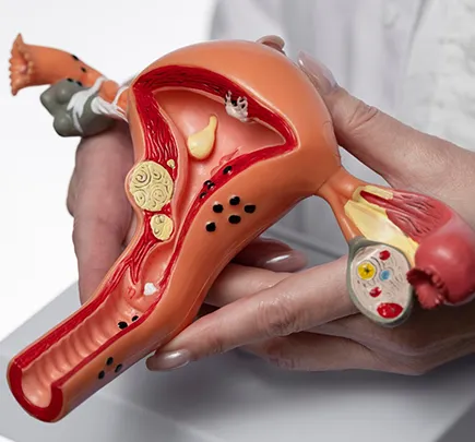 Kadın Üroloji Muayenesi Nasıl Yapılır?